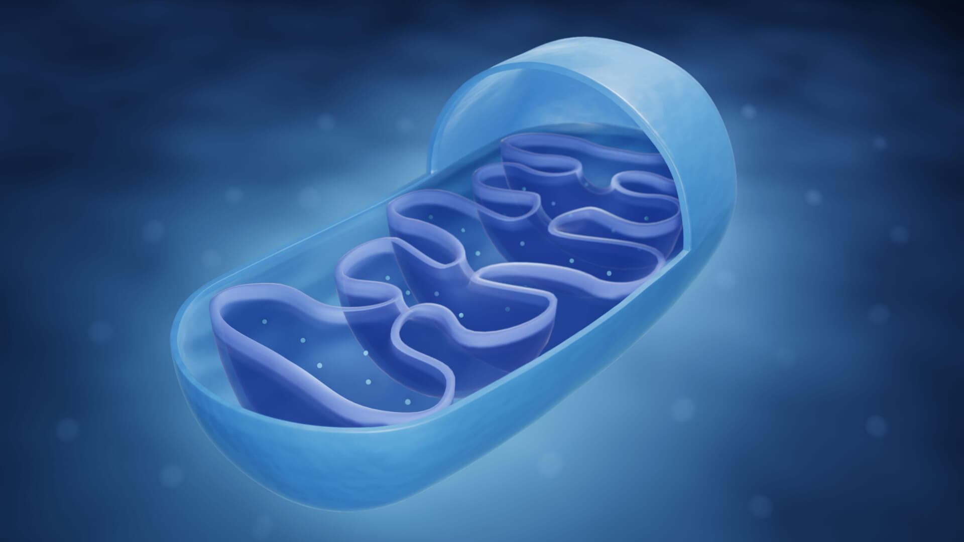 BPC-157 + NAD+: Recovery Meets Cellular Energy
